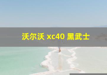 沃尔沃 xc40 黑武士